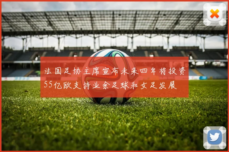 法国足协主席宣布未来四年将投资55亿欧支持业余足球和女足发展