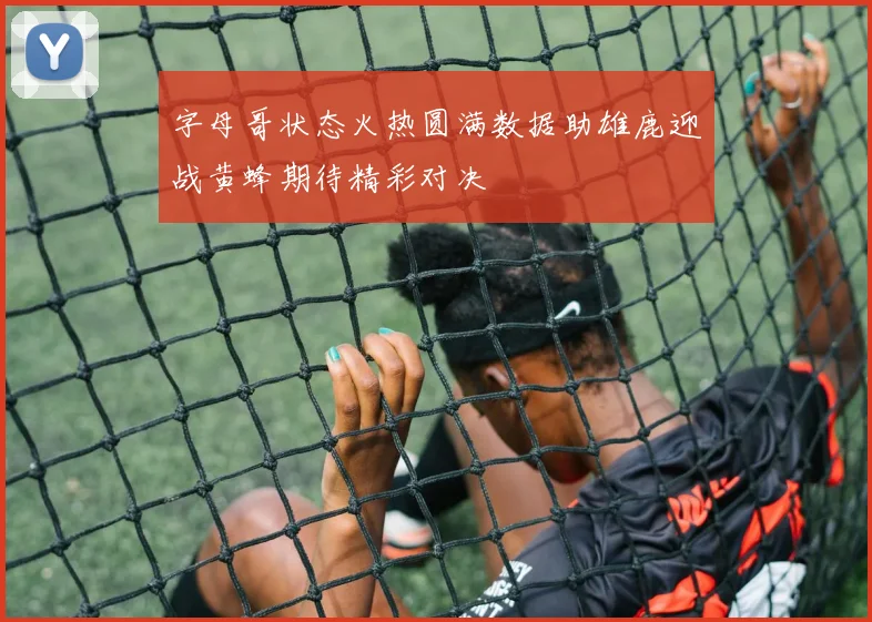 字母哥状态火热圆满数据助雄鹿迎战黄蜂期待精彩对决
