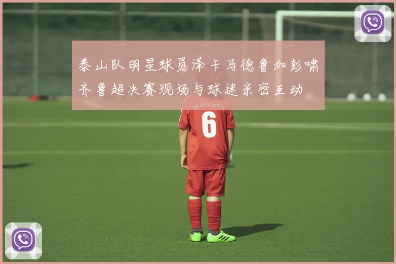 泰山队明星球员泽卡马德鲁加彭啸齐鲁超决赛现场与球迷亲密互动