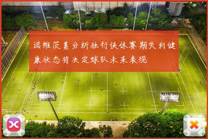 诺维茨基分析独行侠休赛期失利健康状态将决定球队未来表现